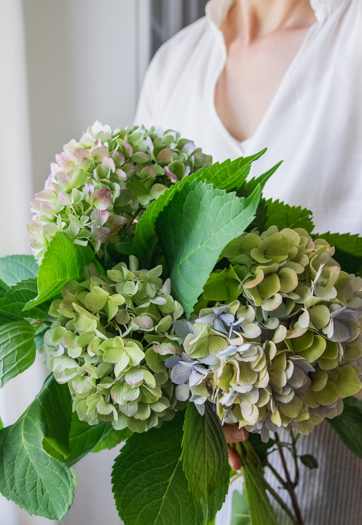 How to keep cut flowers alive longer