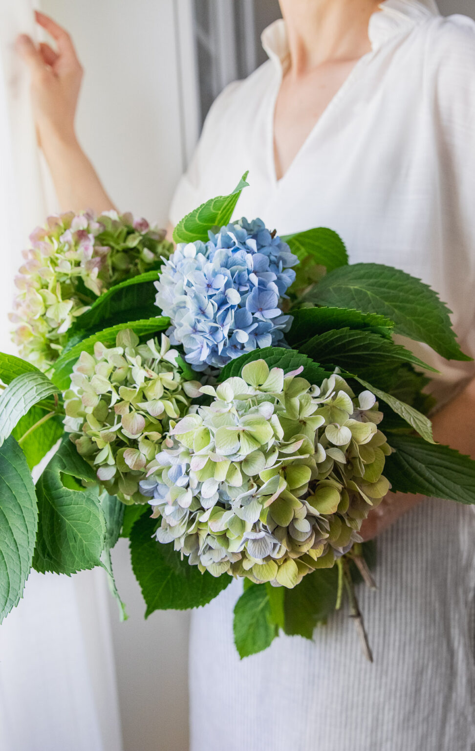 The Secrets to Keeping Flowers Fresh Longer Hello Nest