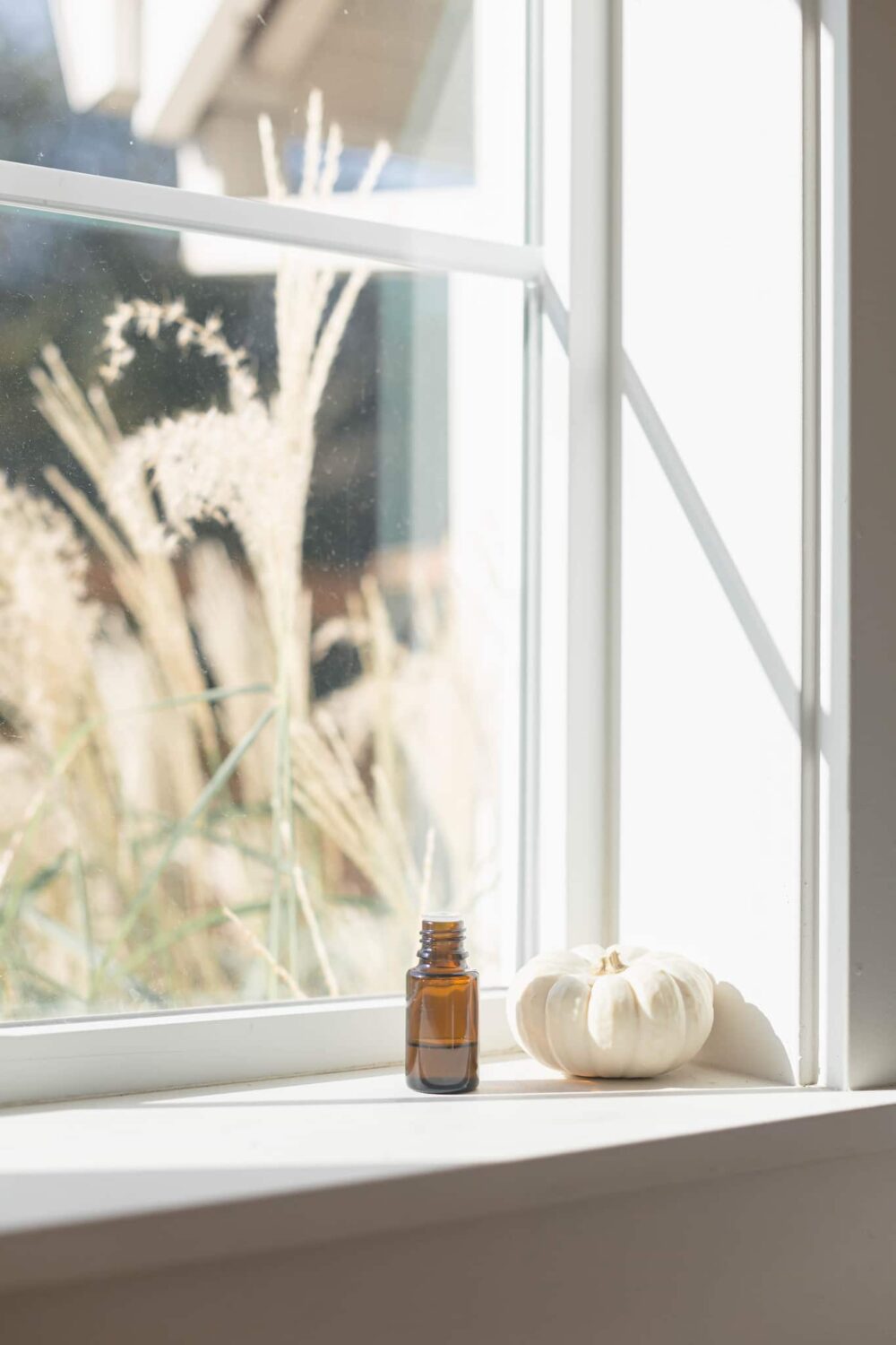 7 Cozy Essential Oil Diffuser Blends for Fall | Hello Nest