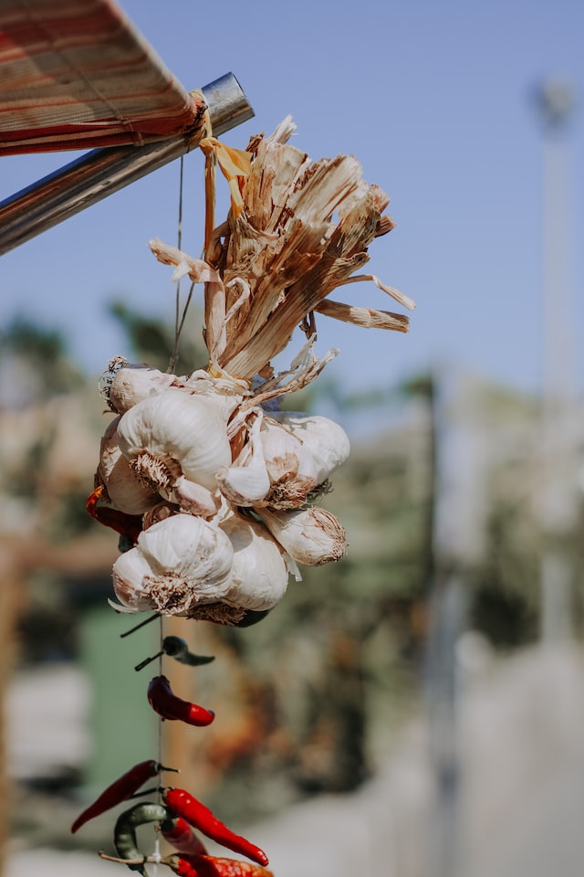 How to dry home grown garlic