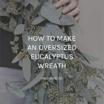 DIY eucalyptus wreath