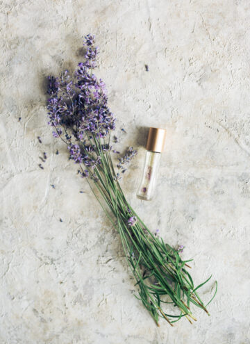 Lavender essential oil - how to use essential oils in humidifiers