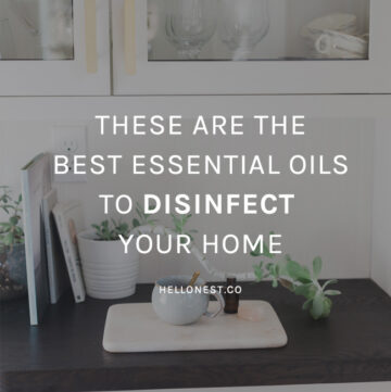 Essential oils to disinfect