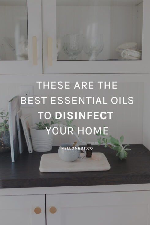 Essential oils to disinfect