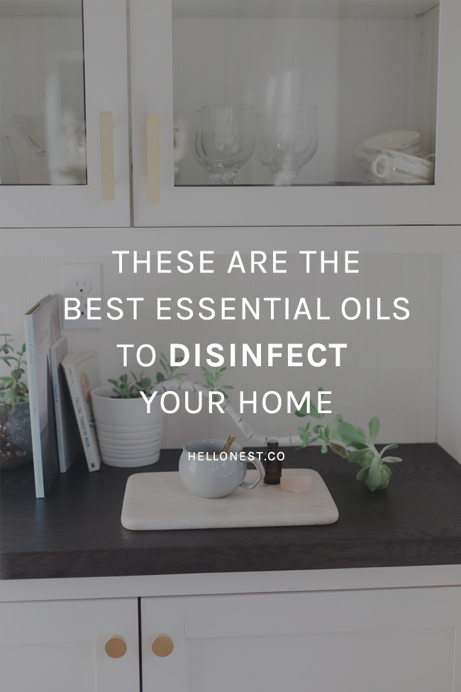 These Are the Best Essential Oils to Disinfect Your Home