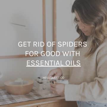 Use essential oils to repel spiders