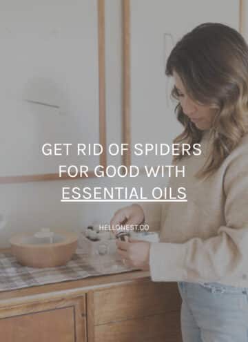 Use essential oils to repel spiders