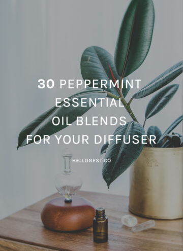 30 Peppermint Essential Oil Blends for Your Diffuser