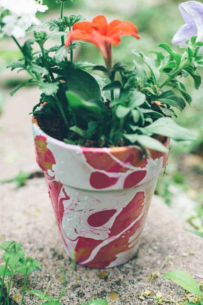 DIY Nail Polish Planters Tutorial