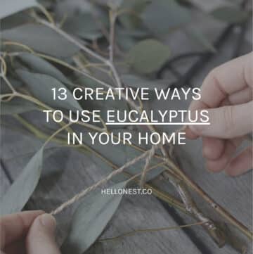 Use eucalyptus at home