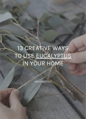 Use eucalyptus at home