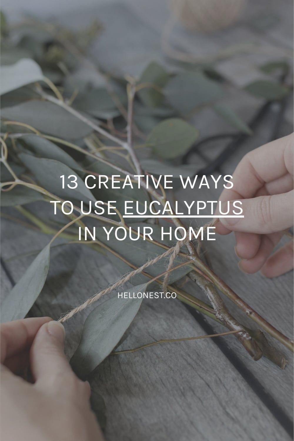 Use eucalyptus at home