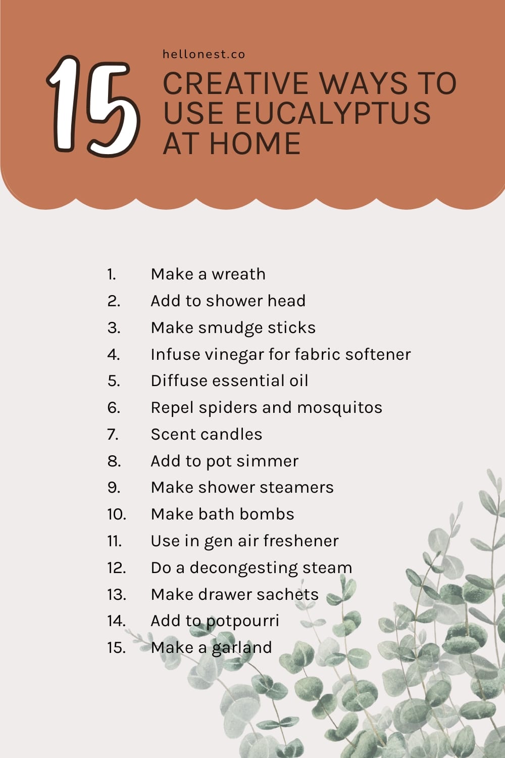 15 ways to use eucalyptus at home