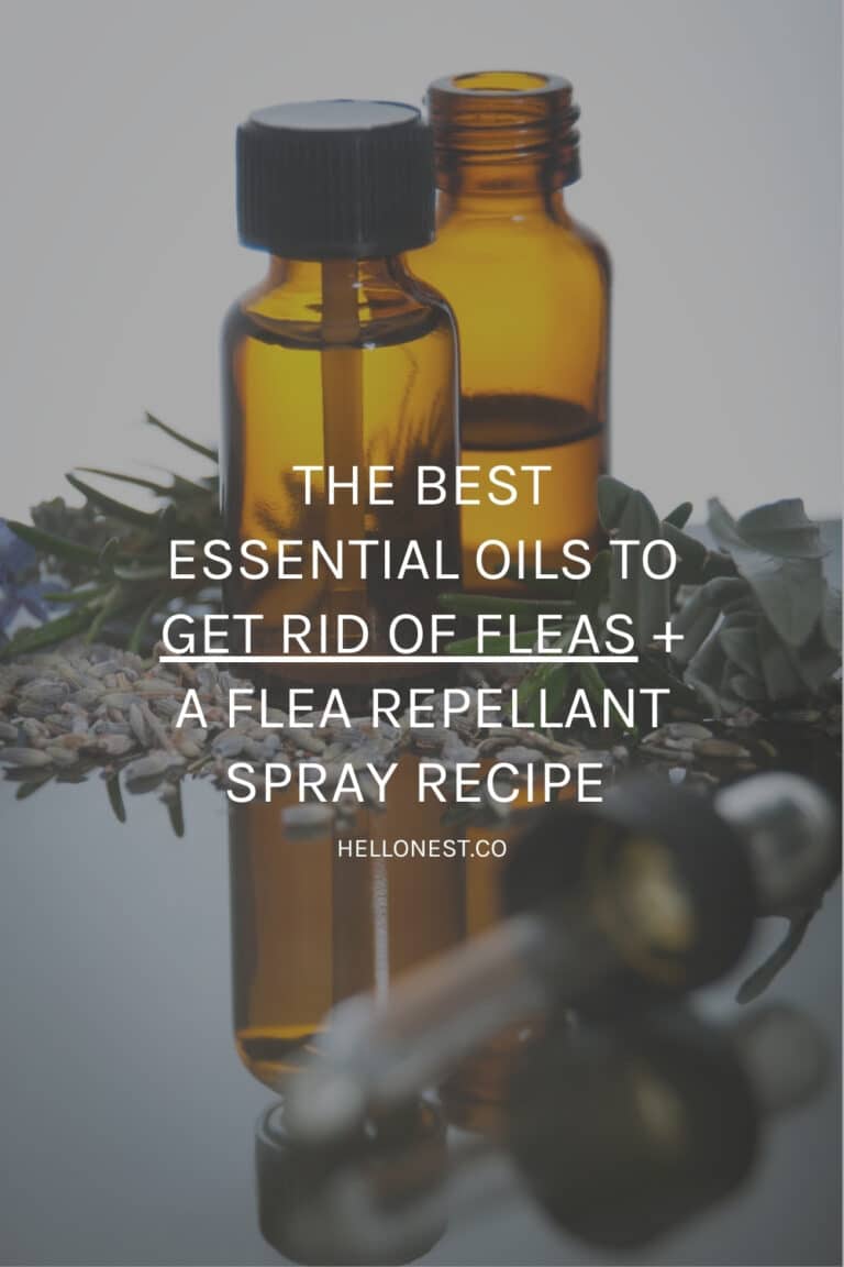 View of The Best Essential Oils to Get Rid of Fleas | Hello Nest