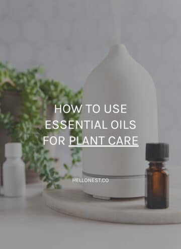 essential oils for plants