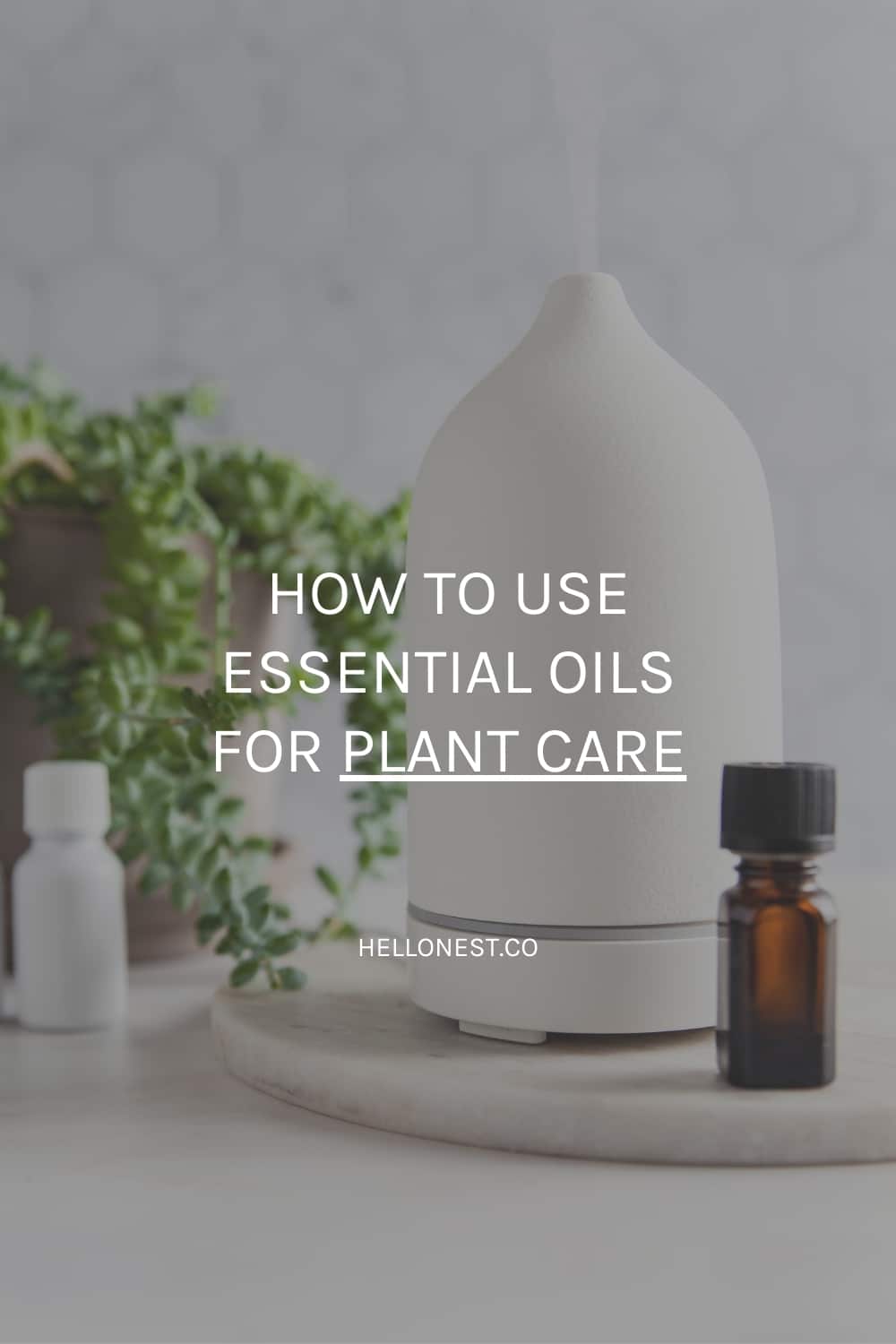 essential oils for plants