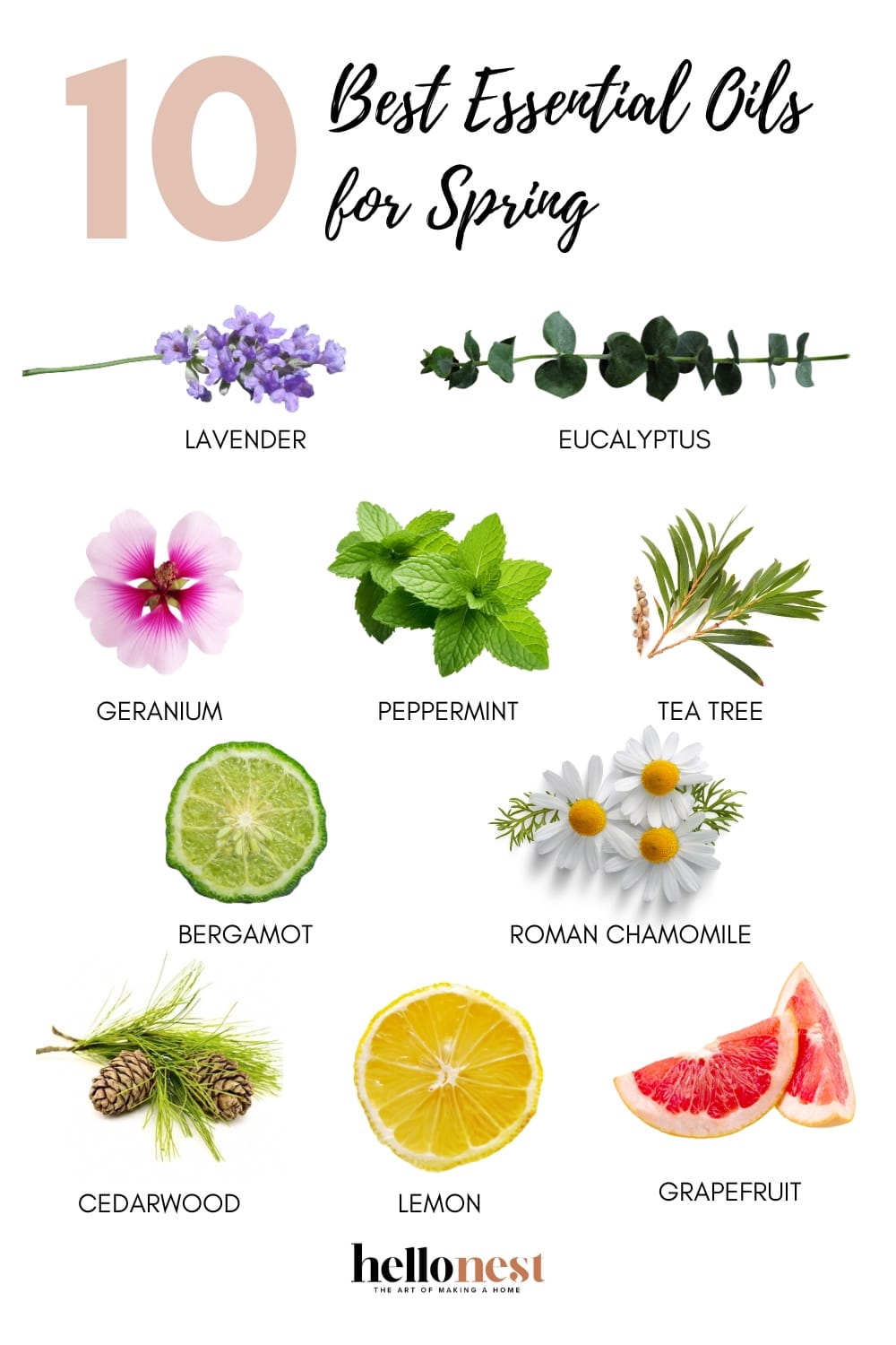 10 best essential oils for spring